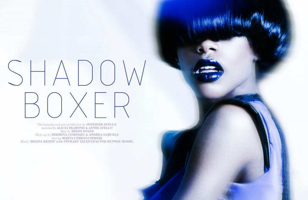 Shadow Boxer Cover Opener for Papercut Magazine